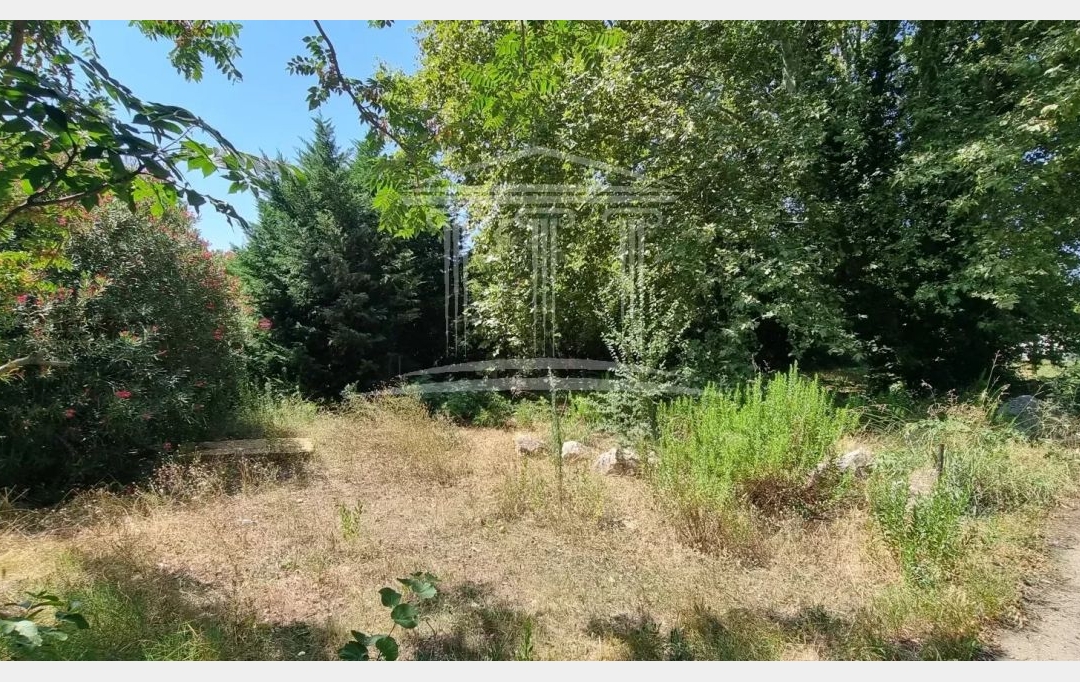 AGENCE TEMPLUM : Ground | SORGUES (84700) | 0 m2 | 190 000 € 